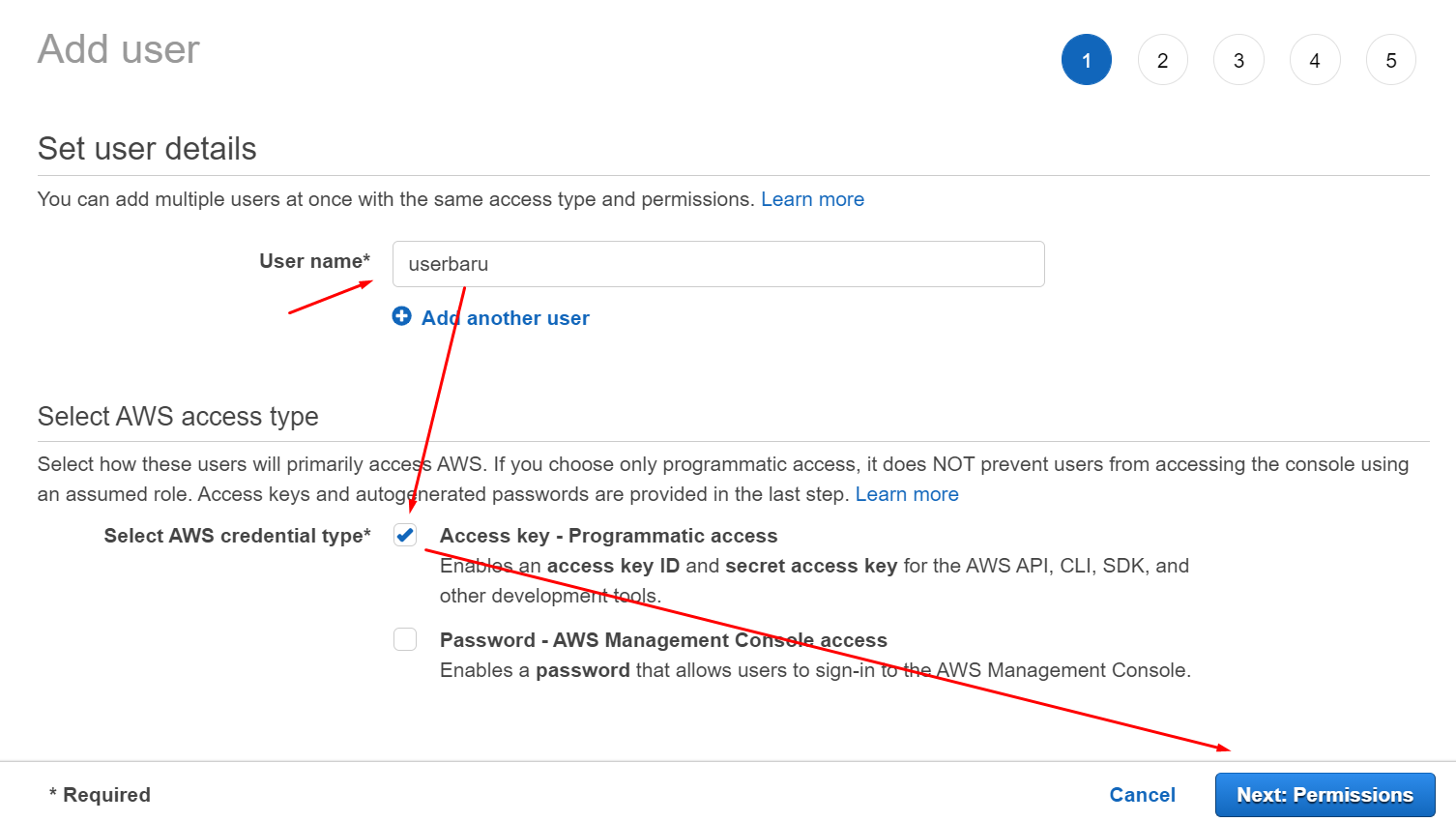 programmatic access